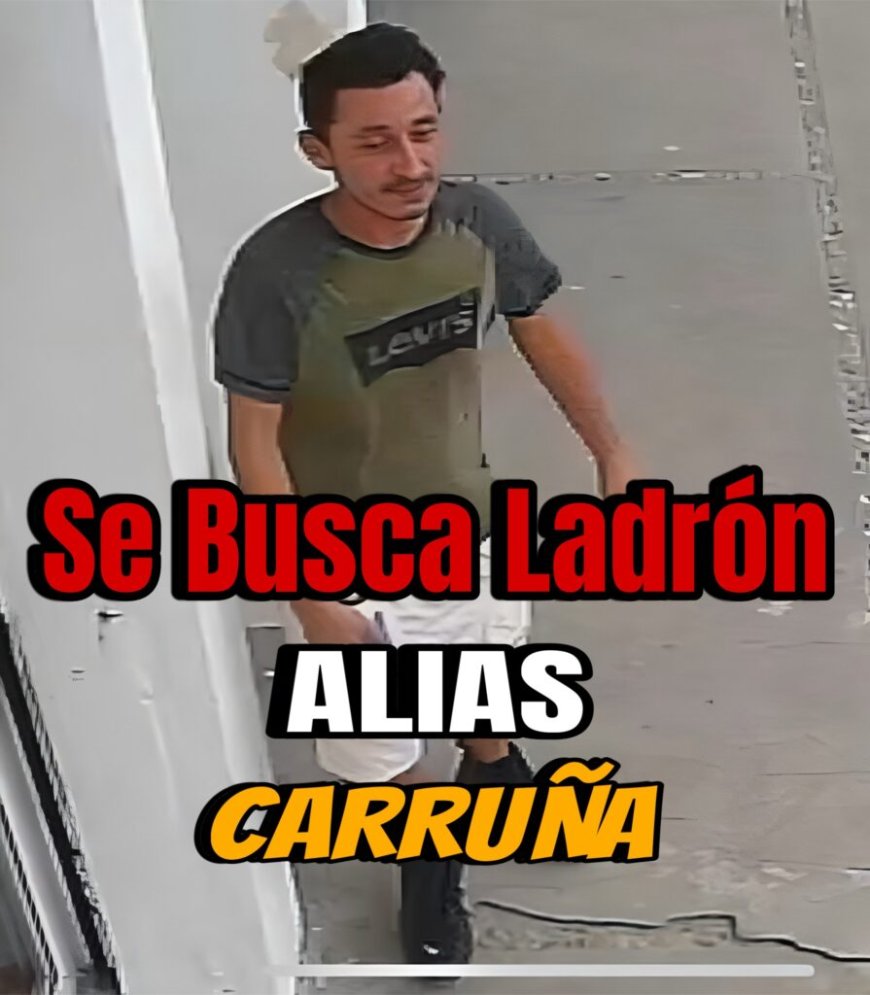 Se Busca Ladrón | Alias Carrucha